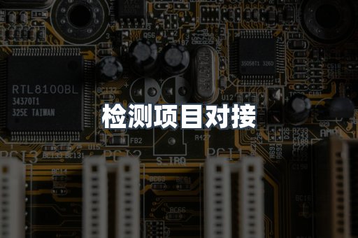 检测项目对接