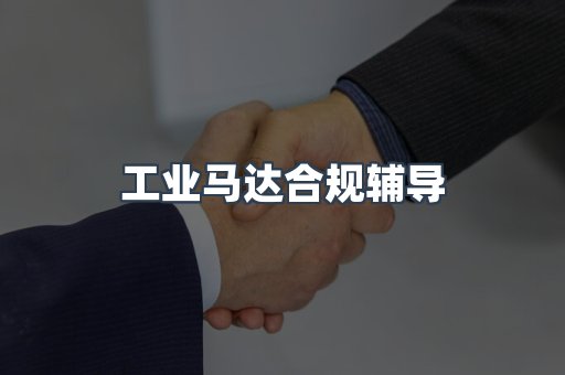 工业马达合规辅导